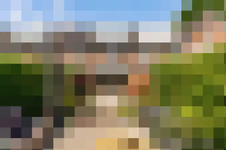 Kamgras 71 Houten thumbnail 45