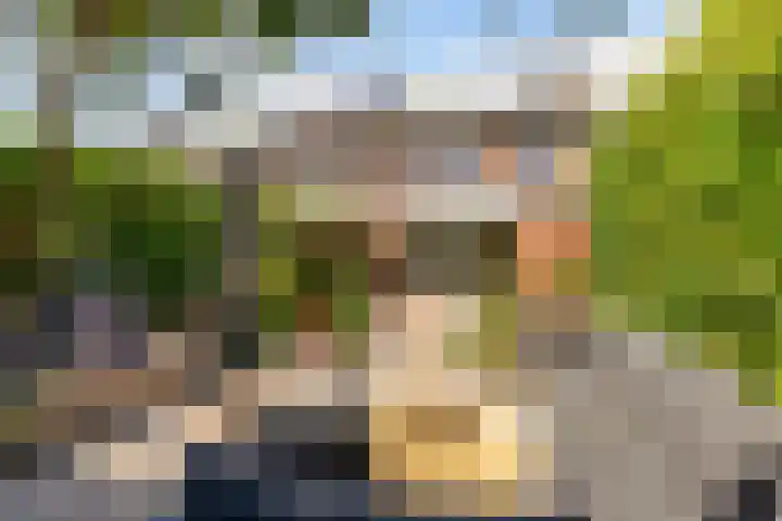 Kamgras 71 Houten thumbnail 46