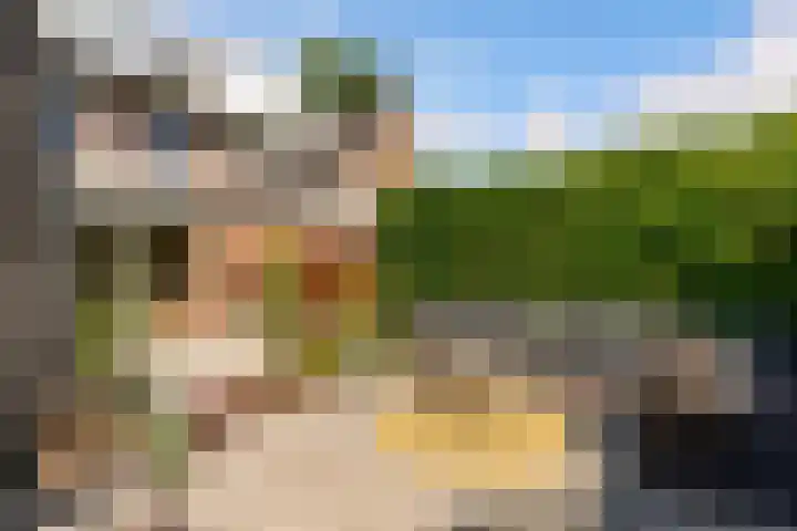 Kamgras 71 Houten thumbnail 47