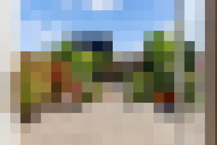 Kamgras 71 Houten thumbnail 48