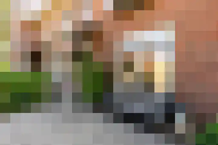 Kamgras 71 Houten thumbnail 5
