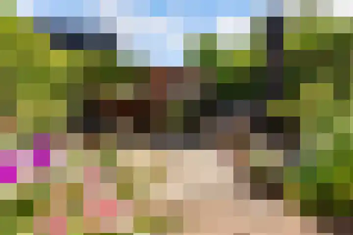 Kamgras 71 Houten thumbnail 50