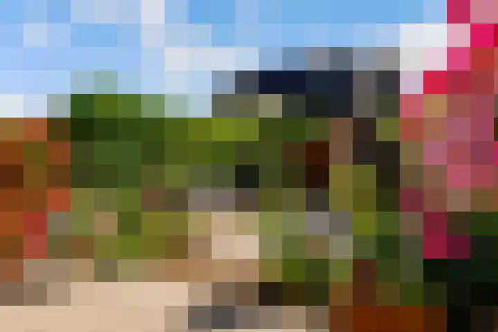 Kamgras 71 Houten thumbnail 51