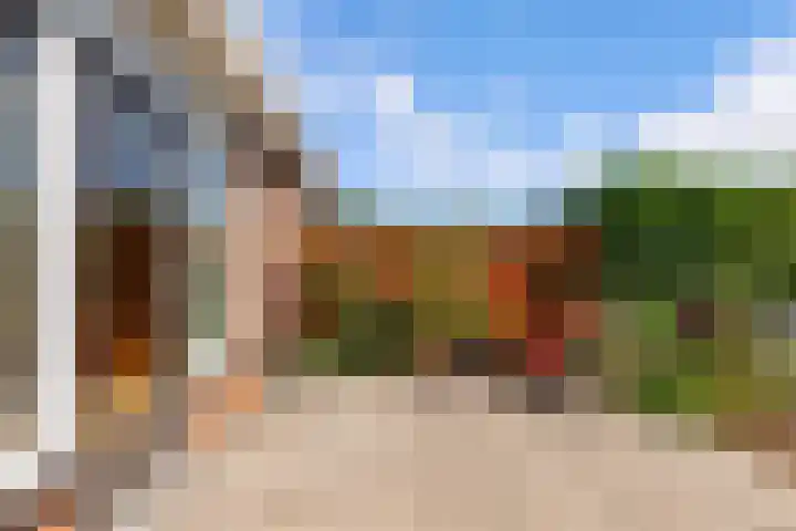Kamgras 71 Houten thumbnail 52