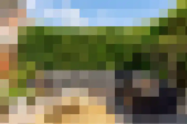 Kamgras 71 Houten thumbnail 53