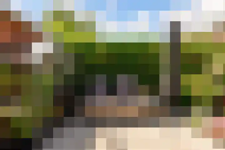 Kamgras 71 Houten thumbnail 55