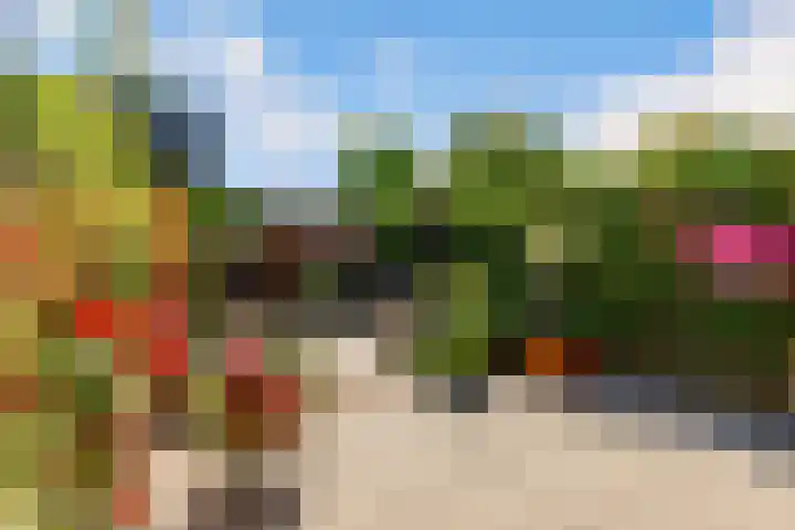 Kamgras 71 Houten thumbnail 56