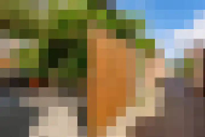 Kamgras 71 Houten thumbnail 58
