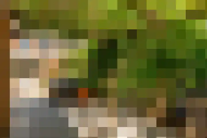 Kamgras 71 Houten thumbnail 59