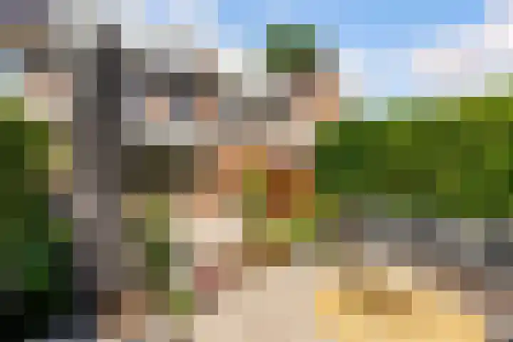 Kamgras 71 Houten thumbnail 60