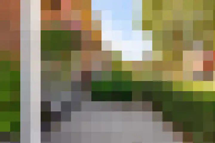 Kamgras 71 Houten thumbnail 61