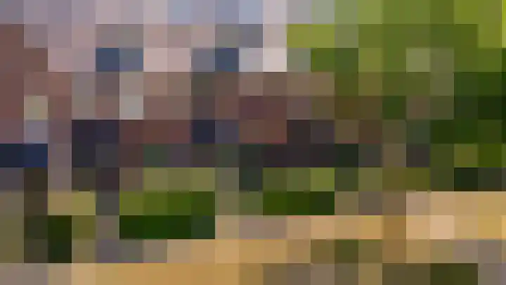 Kamgras 71 Houten thumbnail 62