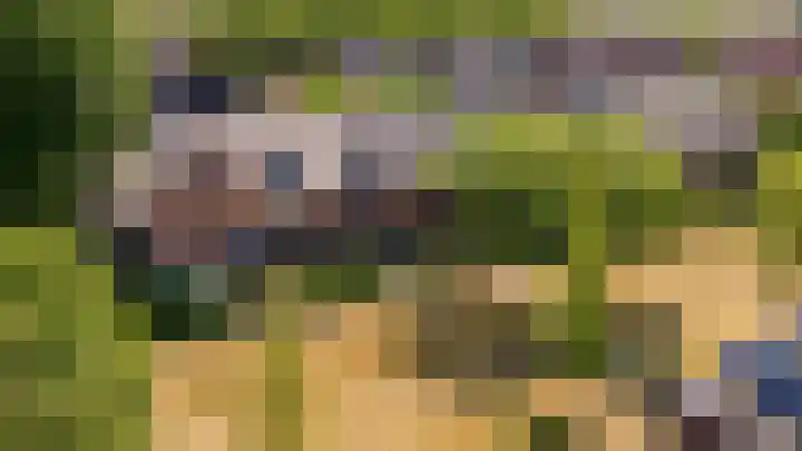 Kamgras 71 Houten thumbnail 63