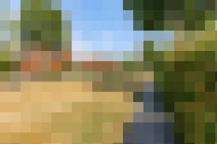 Kamgras 71 Houten thumbnail 64