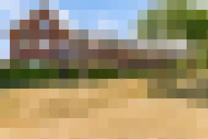 Kamgras 71 Houten thumbnail 66