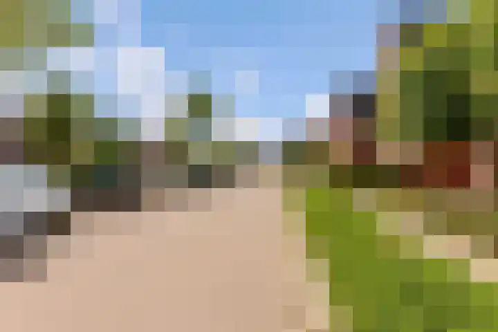 Kamgras 71 Houten thumbnail 67