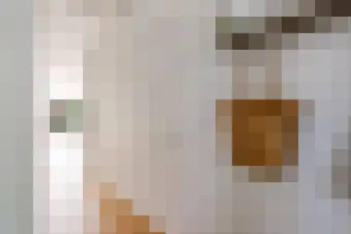 Kamgras 71 Houten thumbnail 7