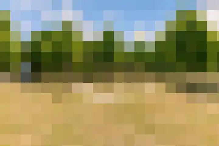 Kamgras 71 Houten thumbnail 70
