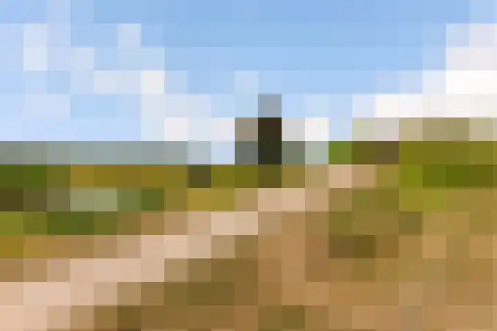 Kamgras 71 Houten thumbnail 71