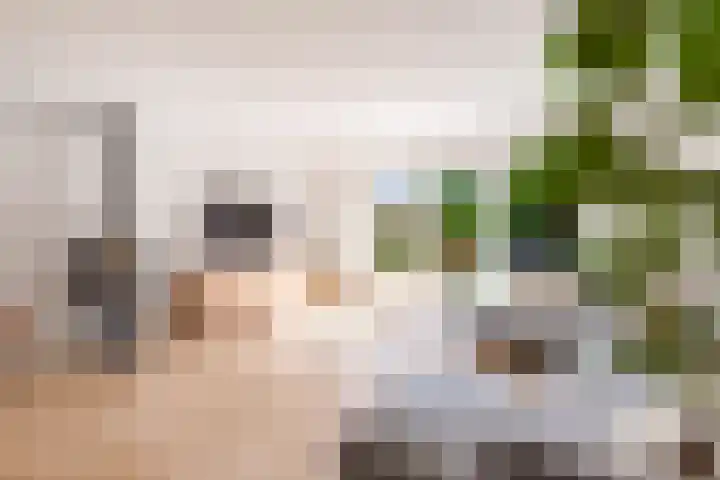 Kamgras 71 Houten thumbnail 9