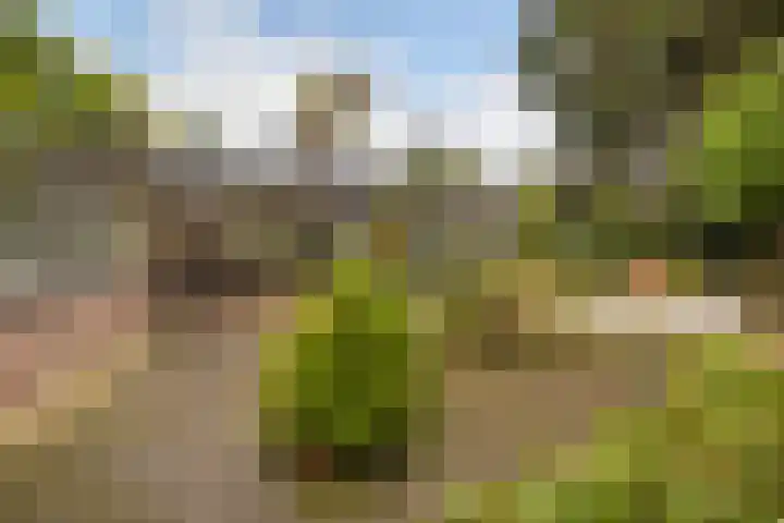 Kamgras 72 Veenendaal thumbnail 26