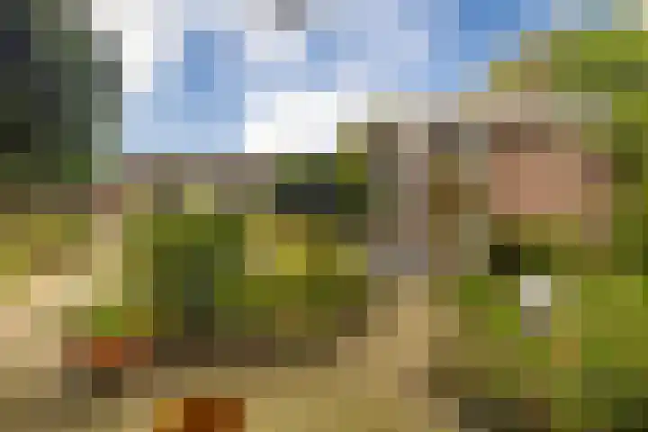 Kamgras 72 Veenendaal thumbnail 27