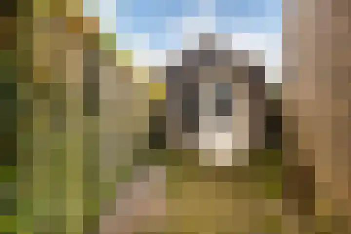 Kamgras 72 Veenendaal thumbnail 31