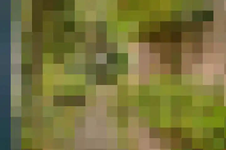 Kamgras 72 Veenendaal thumbnail 32
