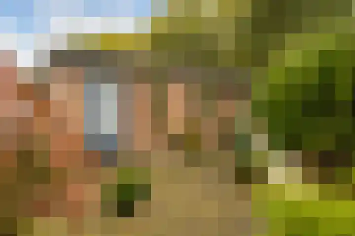 Kamgras 72 Veenendaal thumbnail 33