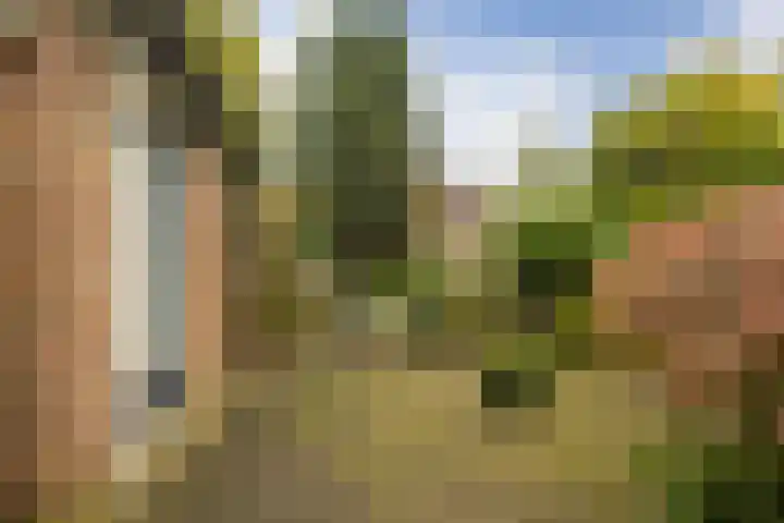 Kamgras 72 Veenendaal thumbnail 34