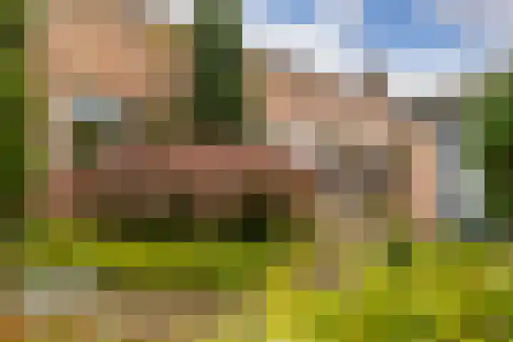 Kamgras 72 Veenendaal thumbnail 37