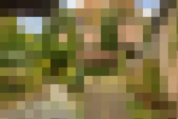 Kamgras 72 Veenendaal thumbnail 39