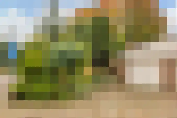 Kamgras 72 Veenendaal thumbnail 40