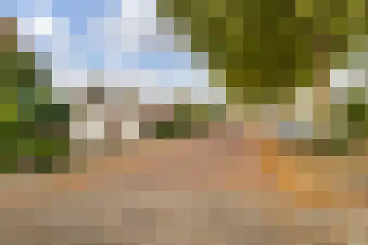Kamgras 72 Veenendaal thumbnail 41