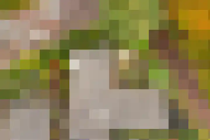 Kamgras 72 Veenendaal thumbnail 42