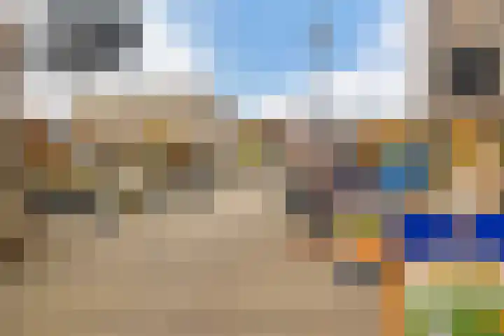 Kamgras 72 Veenendaal thumbnail 46