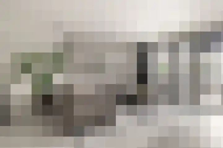 Kamgrasstraat 1 Heerhugowaard thumbnail 10