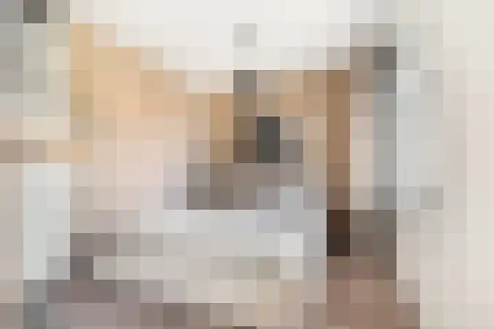 Kamgrasstraat 1 Heerhugowaard thumbnail 30