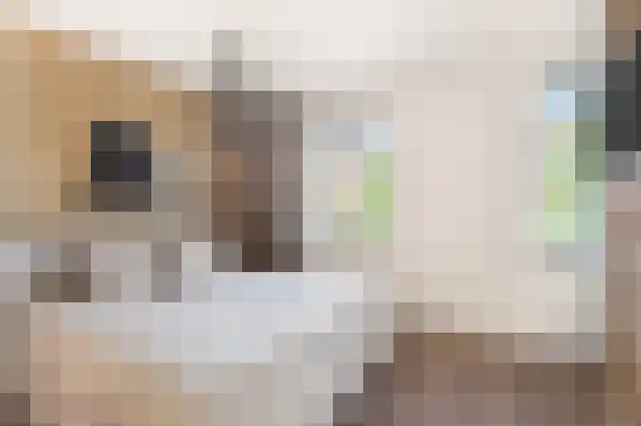 Kamgrasstraat 1 Heerhugowaard thumbnail 32
