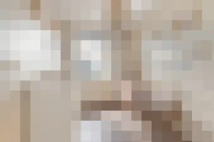 Kamgrasstraat 1 Heerhugowaard thumbnail 34