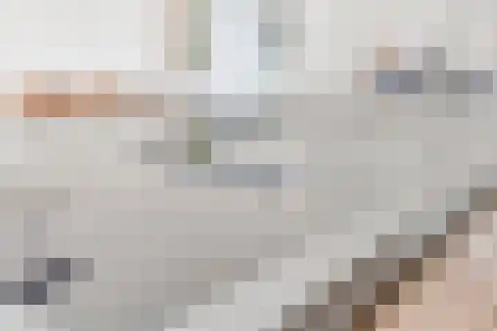 Kamille 1 Bladel thumbnail 17
