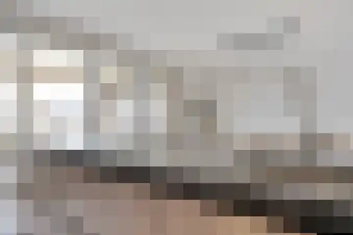 Kamille 1 Bladel thumbnail 18
