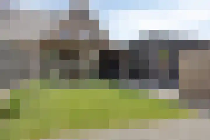 Kamille 1 Bladel foto 2