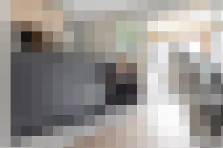 Kamille 1 Bladel thumbnail 20