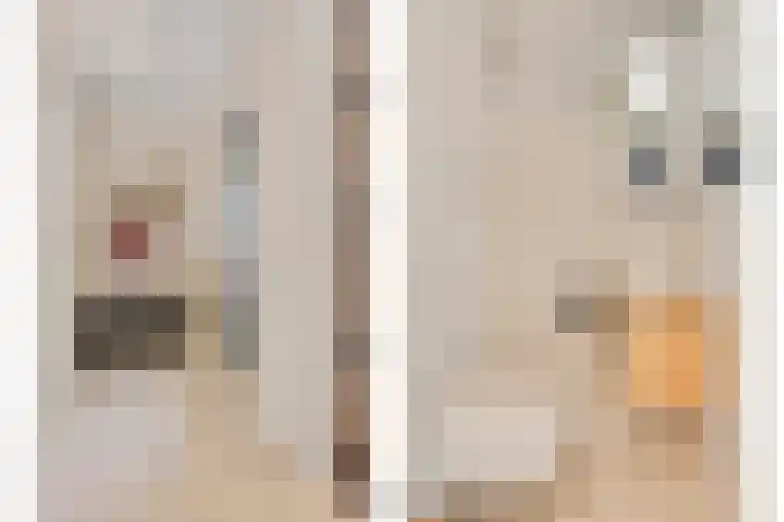 Kamille 1 Bladel thumbnail 21