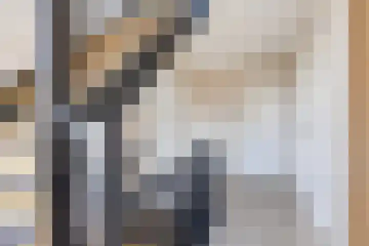 Kamille 1 Bladel thumbnail 26