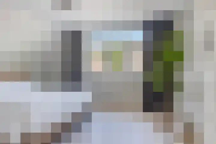 Kamille 1 Bladel thumbnail 27