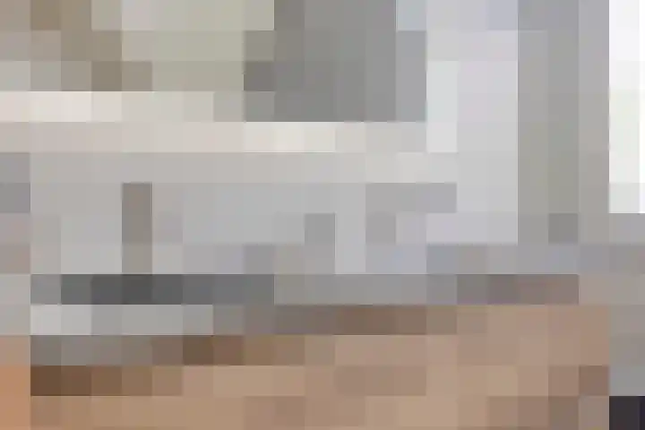 Kamille 1 Bladel thumbnail 36