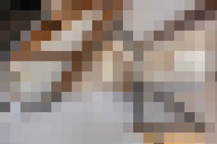 Kamille 1 Bladel thumbnail 38