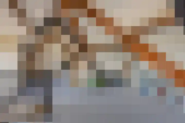Kamille 1 Bladel thumbnail 39